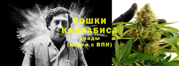 PSILOCYBIN Медвежьегорск