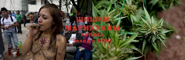 PSILOCYBIN Медвежьегорск