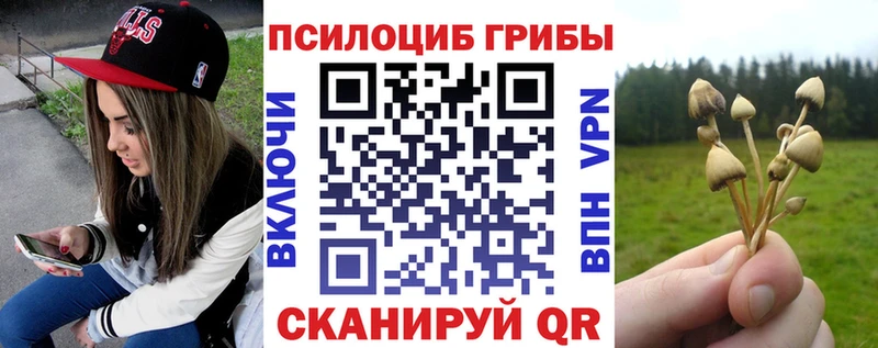 Галлюциногенные грибы Cubensis  наркошоп  Нюрба 